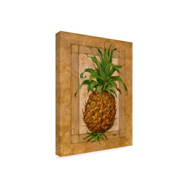 Barbara Mock ' Pineapple Pizzazz' Canvas Art,14x19